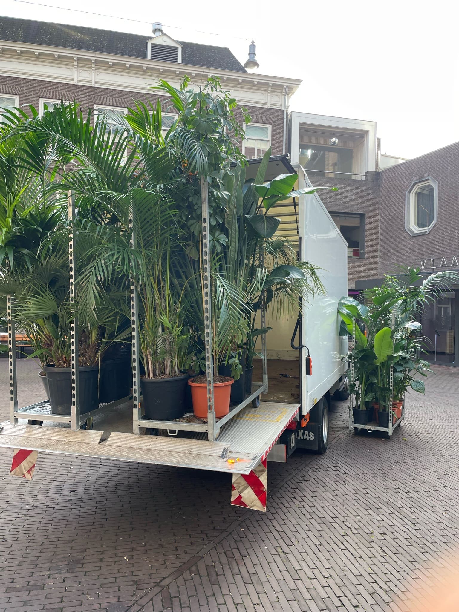 Bestelwagen geladen met planten voor plantenverhuur in de stad